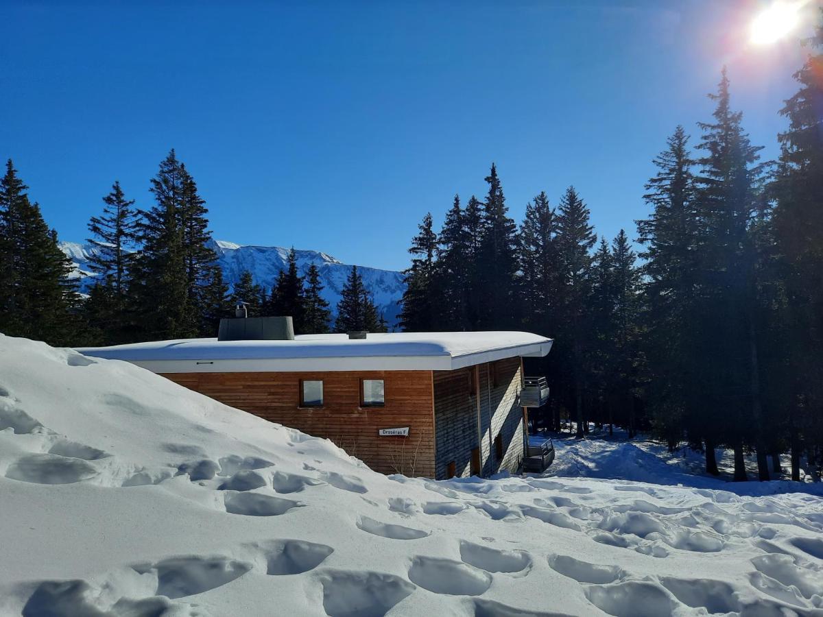 La Petite Foret Chamrousse 1700 Экстерьер фото