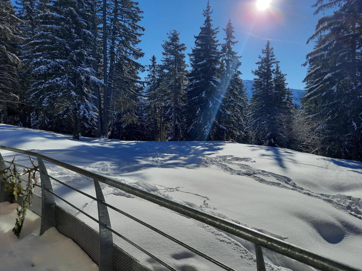 La Petite Foret Chamrousse 1700 Экстерьер фото