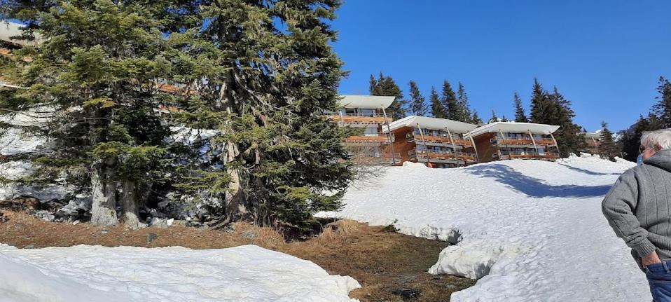 La Petite Foret Chamrousse 1700 Экстерьер фото