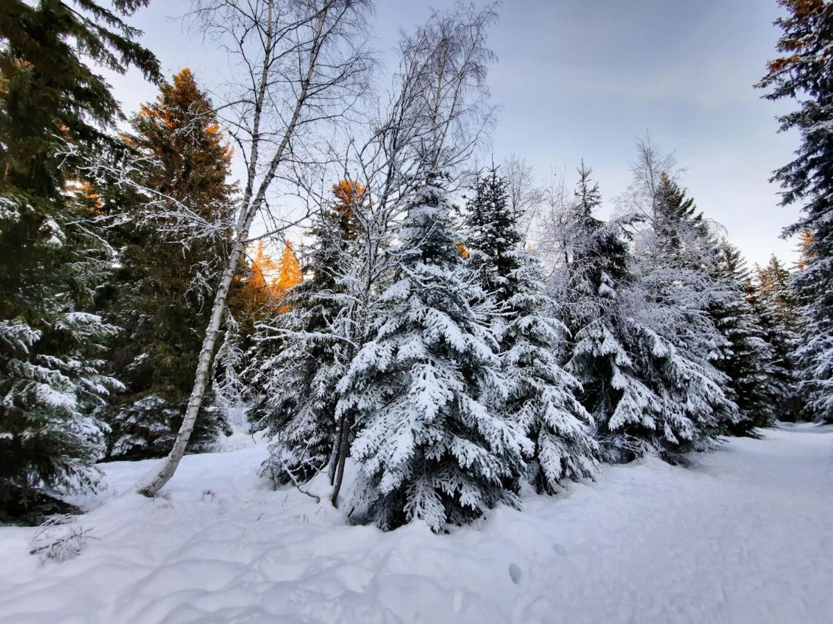 La Petite Foret Chamrousse 1700 Экстерьер фото