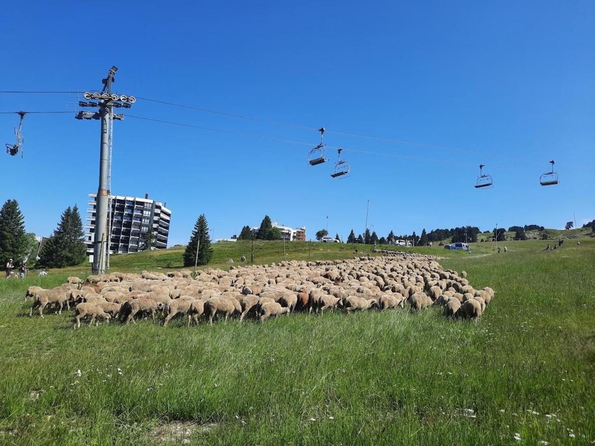 La Petite Foret Chamrousse 1700 Экстерьер фото