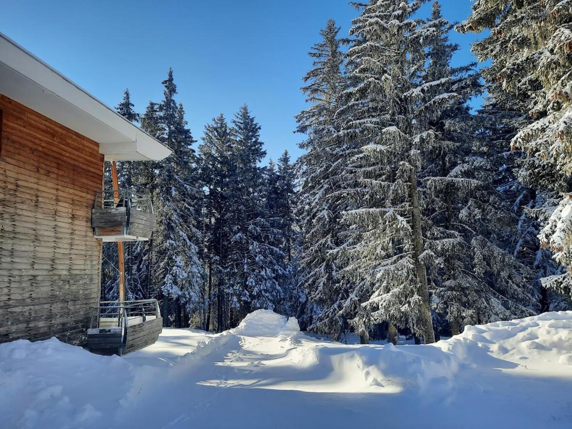 La Petite Foret Chamrousse 1700 Экстерьер фото